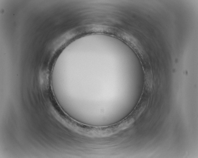X0000081570016200701151223