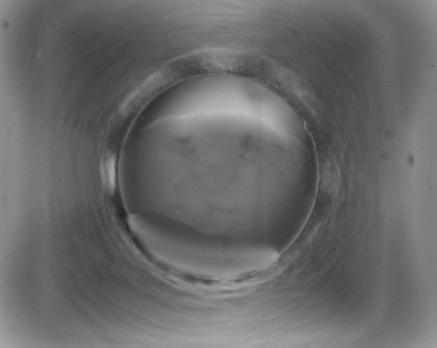 X0000081570027200701151223