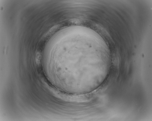 X0000081570036200701151223