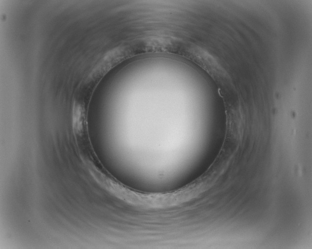X0000081570038200701151223