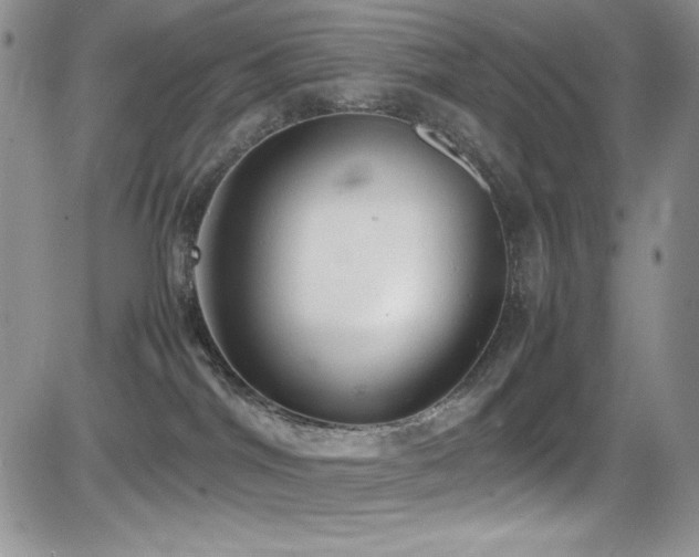 X0000081570044200701151223