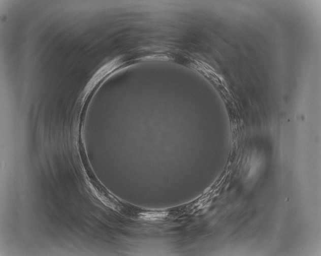 X0000081570051200701151222
