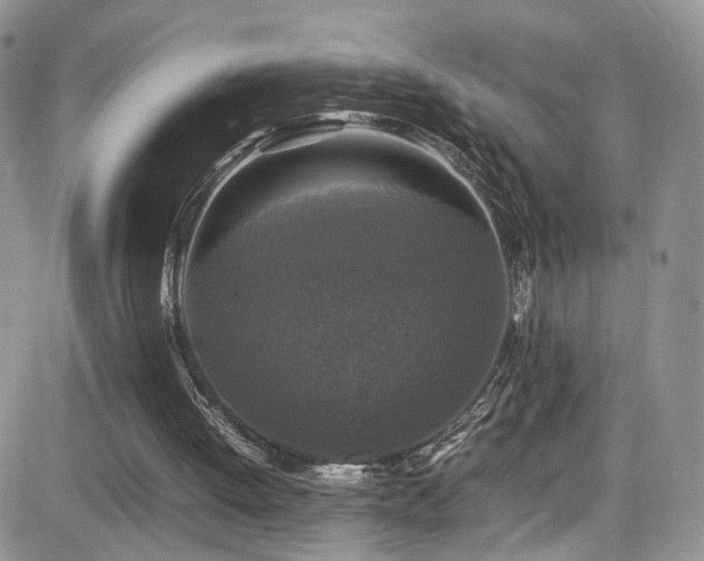 X0000081570052200701151222