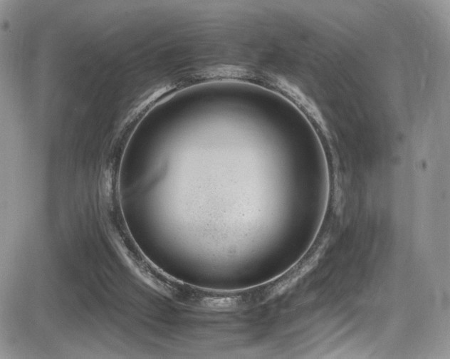 X0000081570057200701151222