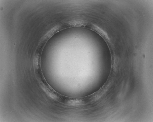 X0000081570065200701151222