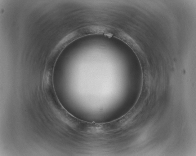 X0000081570071200701151222