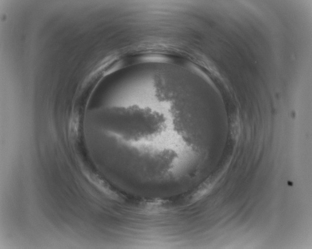 X0000081570072200701151222