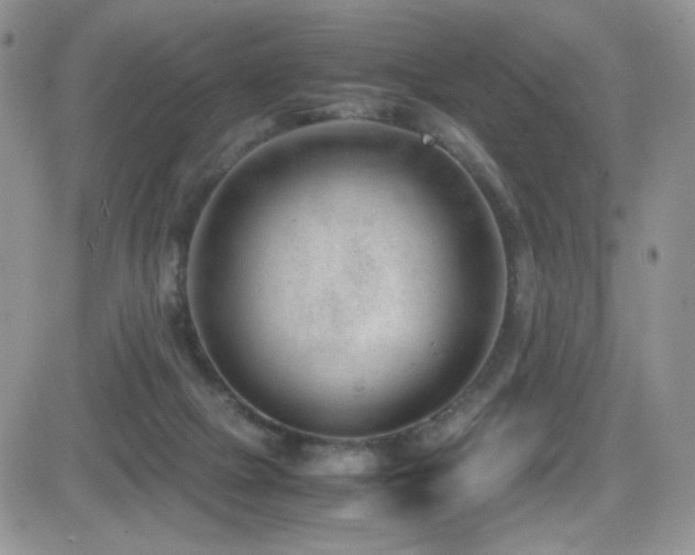 X0000081570073200701151222