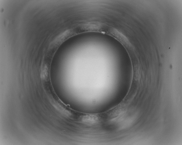 X0000081570077200701151222