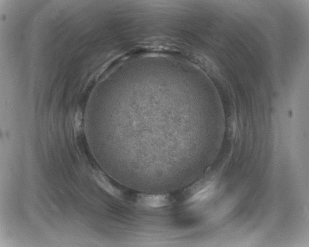 X0000081570081200701151223