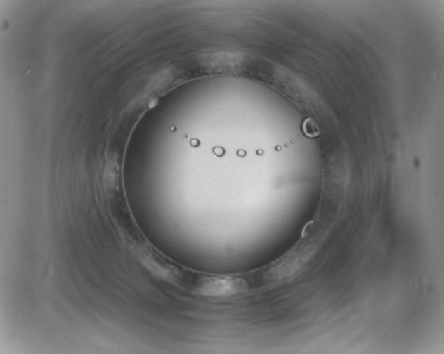 X0000081570083200701151223