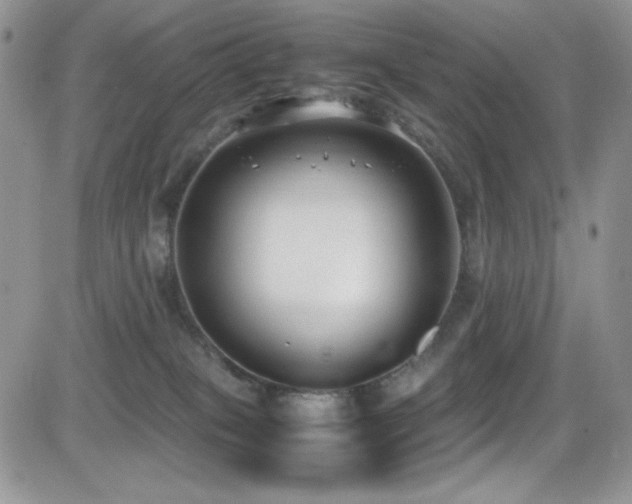 X0000081570085200701151223