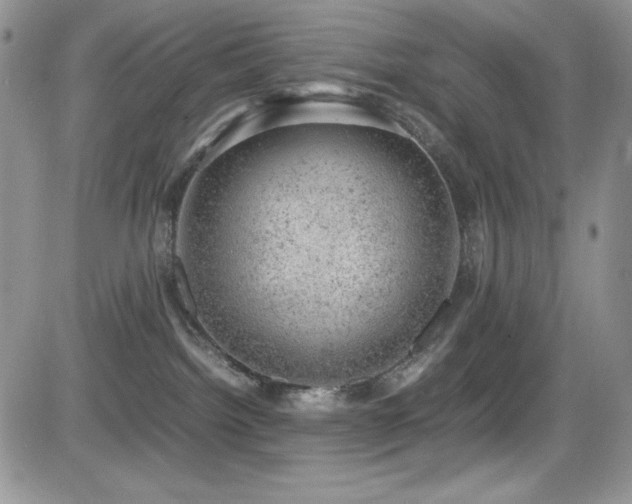 X0000081570092200701151223