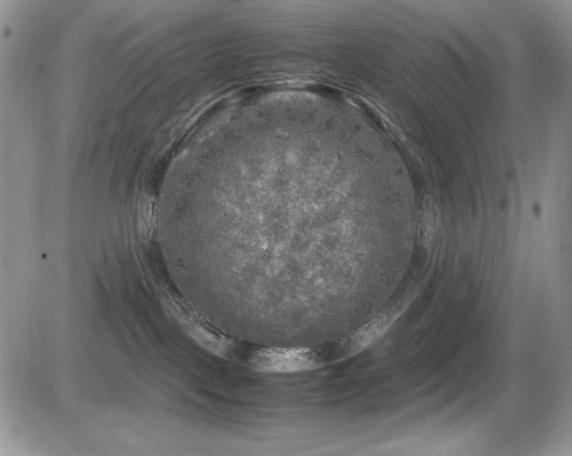X0000081570093200701151223