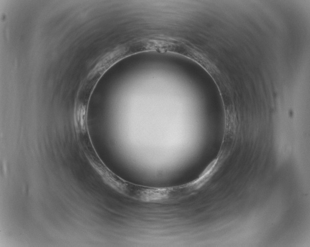 X0000081570094200701151223