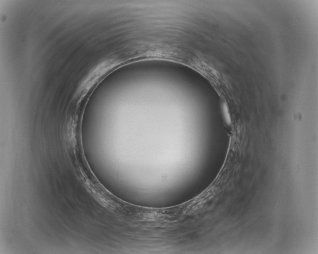 X0000081570098200701151222