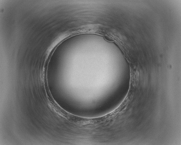 X0000081570100200701151222