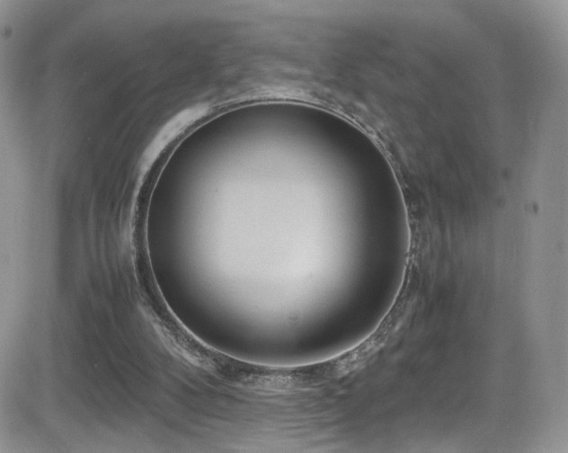 X0000081570104200701151222