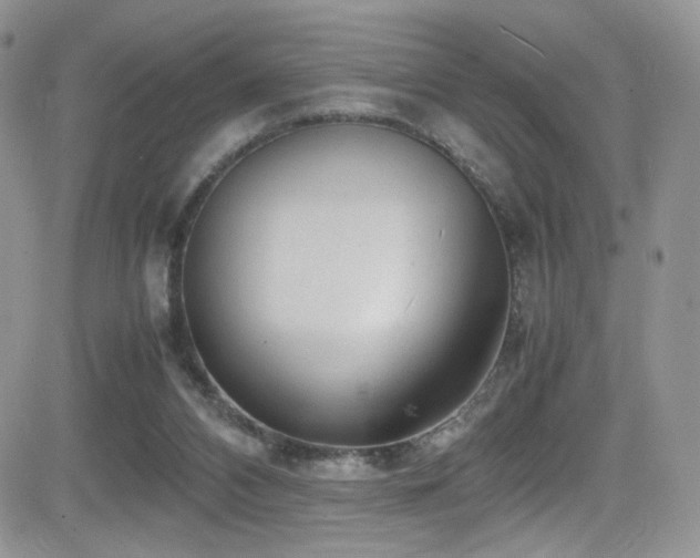 X0000081570112200701151222