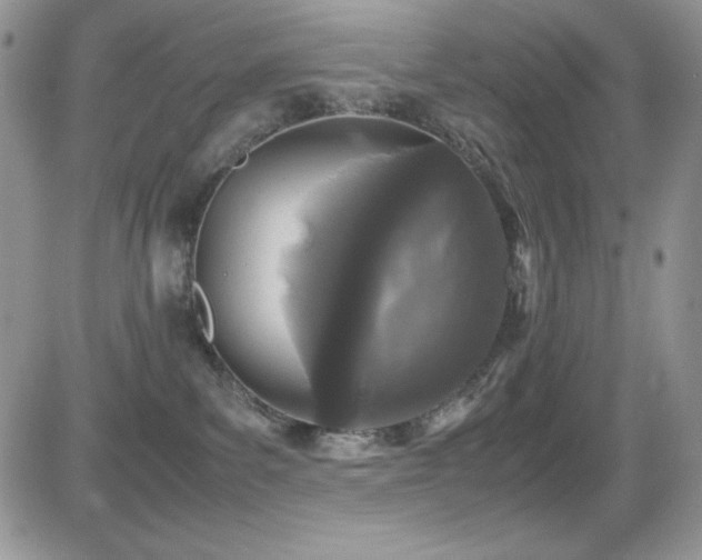 X0000081570139200701151221
