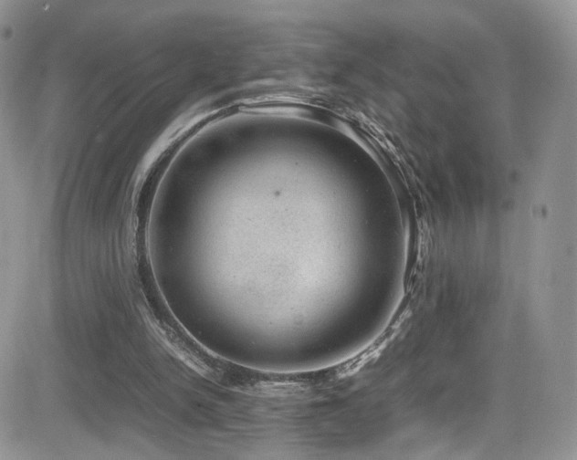 X0000081570150200701151220
