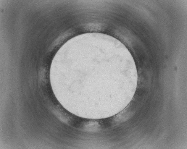 X0000081570162200701151221