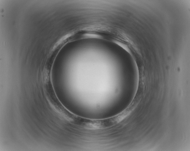 X0000081570164200701151221