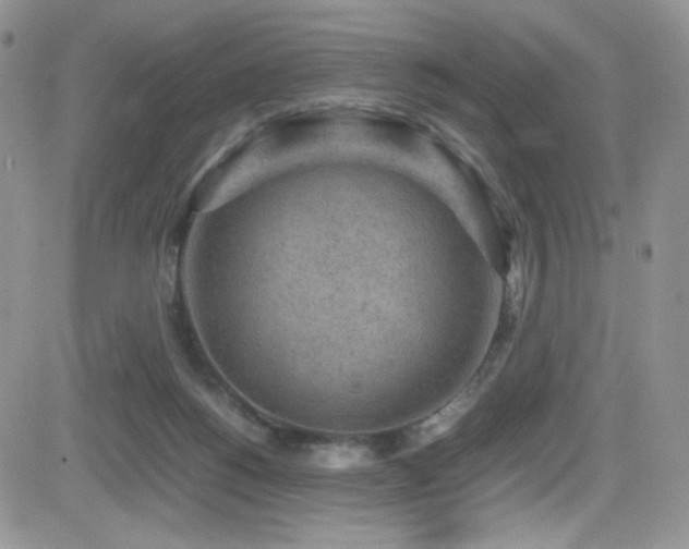 X0000081570168200701151221