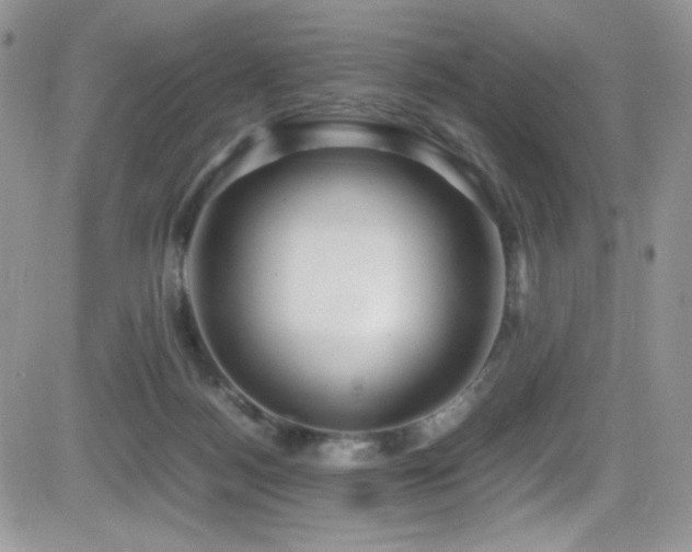 X0000081570172200701151221