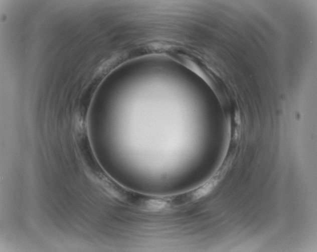 X0000081570176200701151221