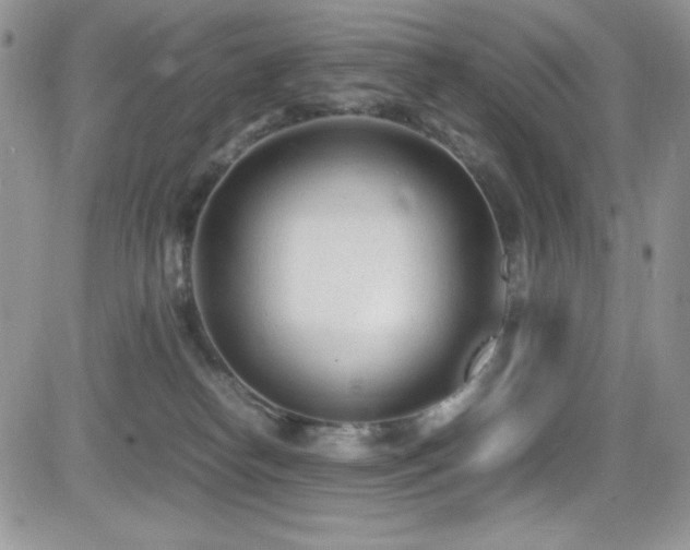 X0000081570182200701151221