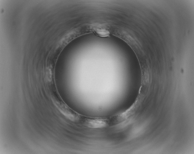 X0000081570183200701151221