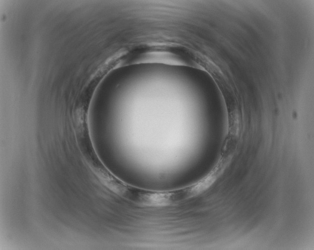 X0000081570184200701151221