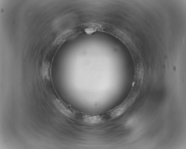 X0000081570185200701151221