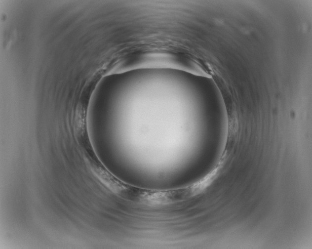 X0000081570186200701151221