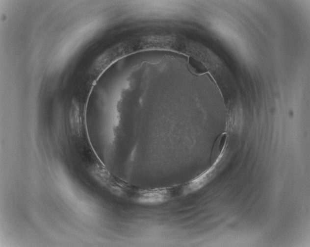 X0000081570191200701151221