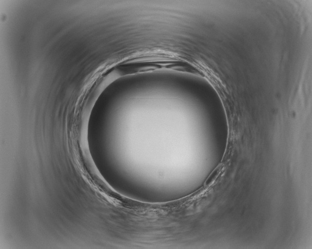 X0000081570193200701151220