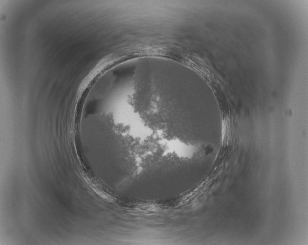 X0000081570195200701151220