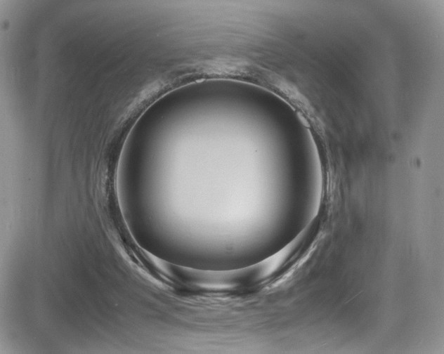 X0000081570201200701151220