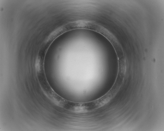 X0000081570216200701151220