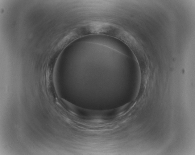 X0000081570219200701151220