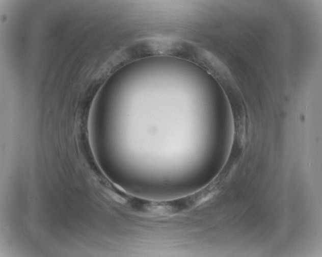 X0000081570221200701151220