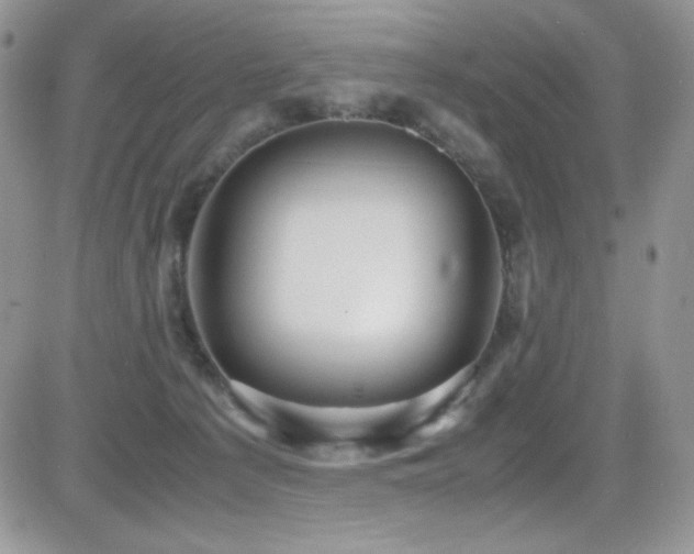 X0000081570225200701151220