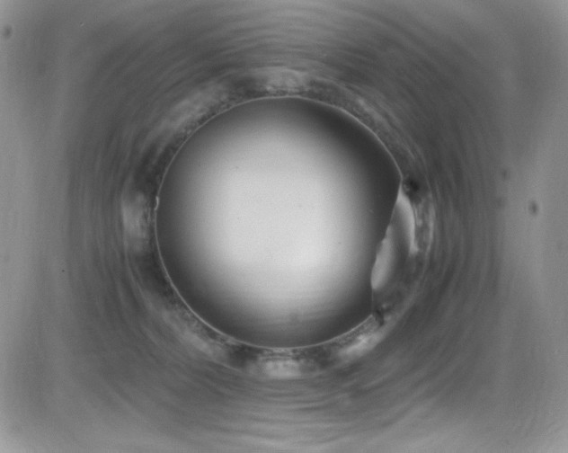X0000081570228200701151220