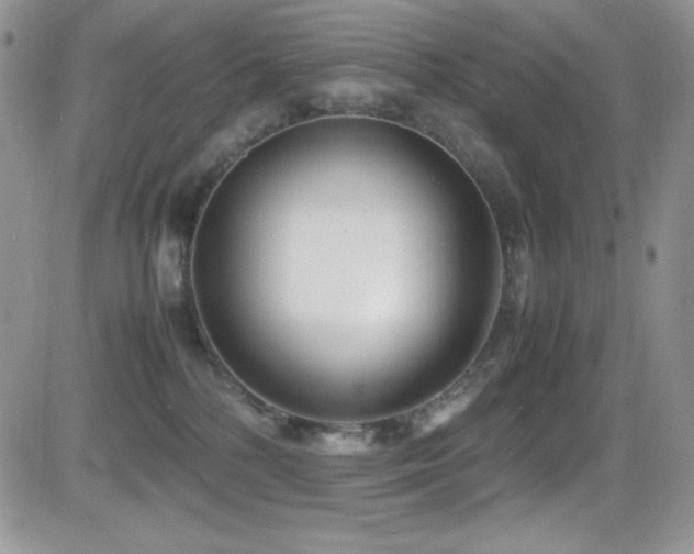 X0000081570232200701151220