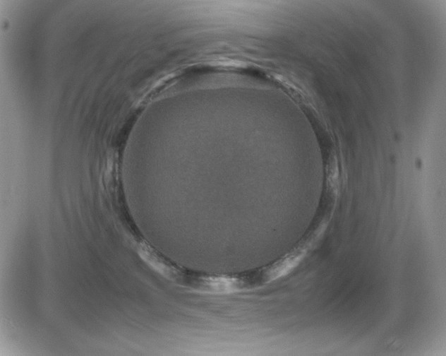 X0000081570233200701151220