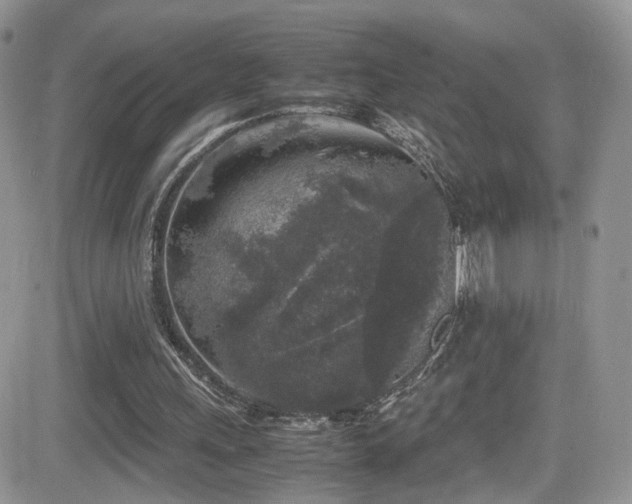 X0000081570243200701151219