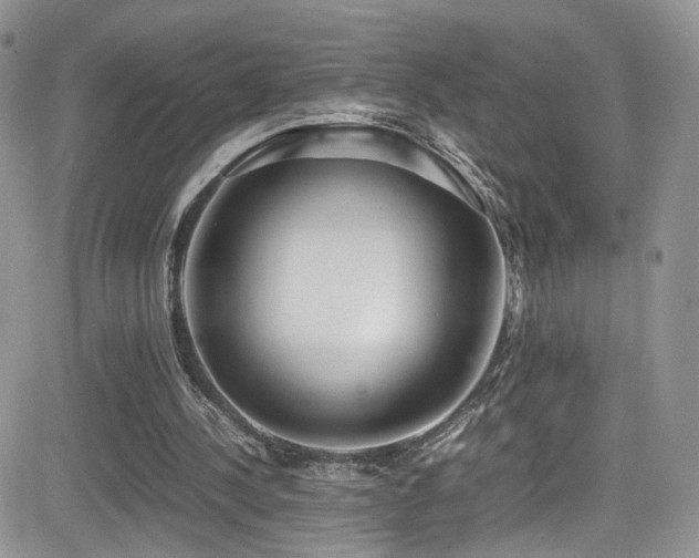 X0000081570244200701151219