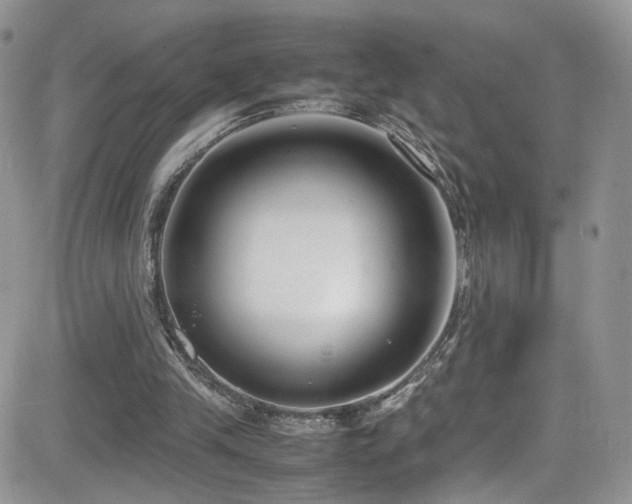 X0000081570245200701151219