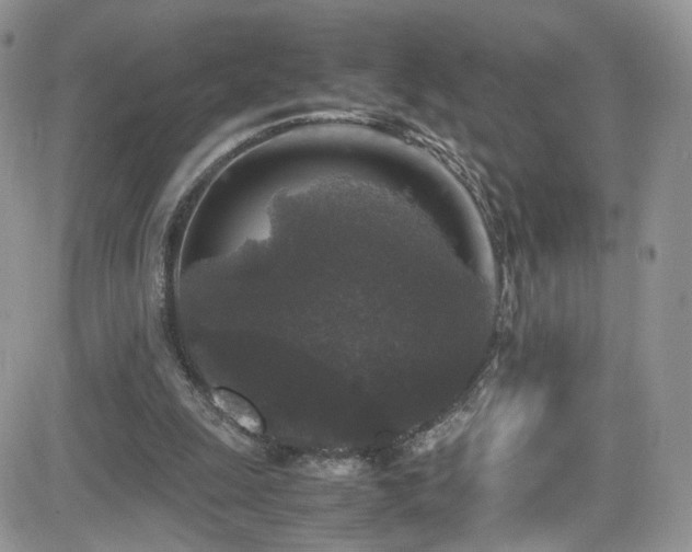 X0000081570247200701151219
